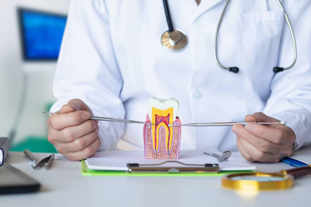 Best Tooth Infection Emergency Dentist  in North Babylon, NY